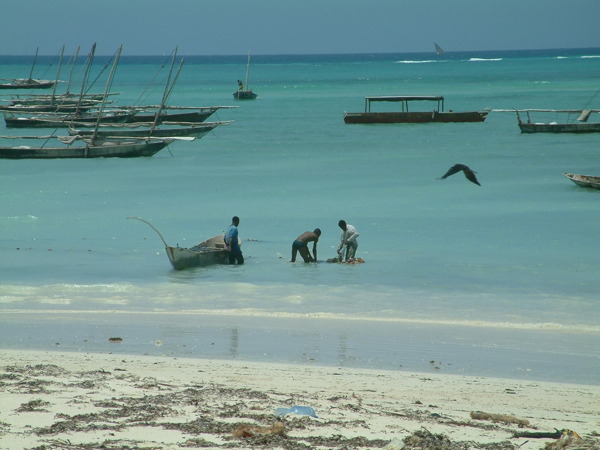 20040129   Zanzibar 244